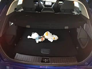 catalog-car-19