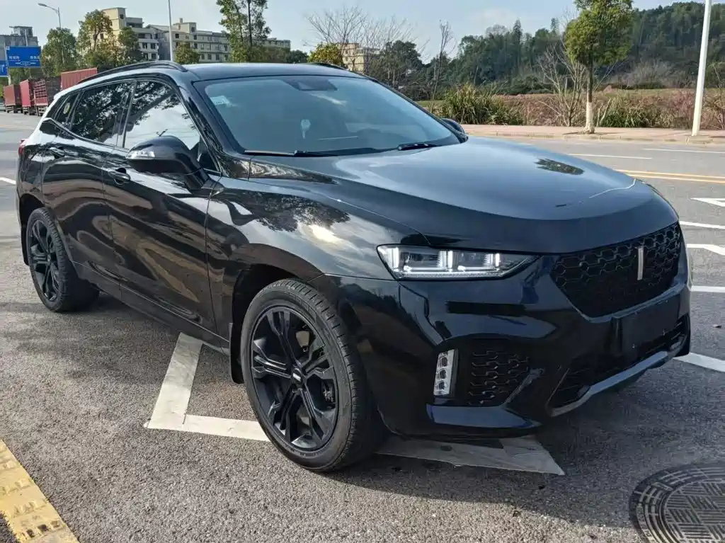 WEY VV7 2017