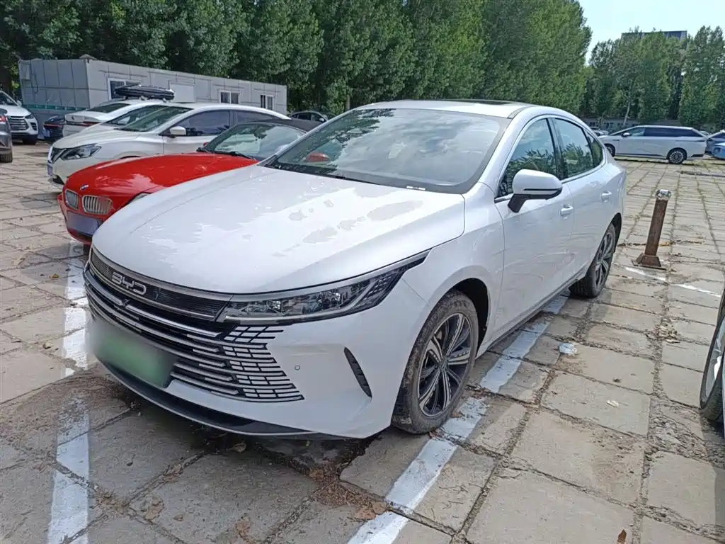 BYD DESTROYER 05 2022