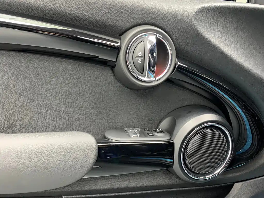 MINI OTHER 2020