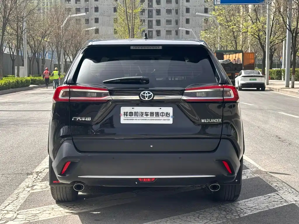 TOYOTA WILDLANDER 2022