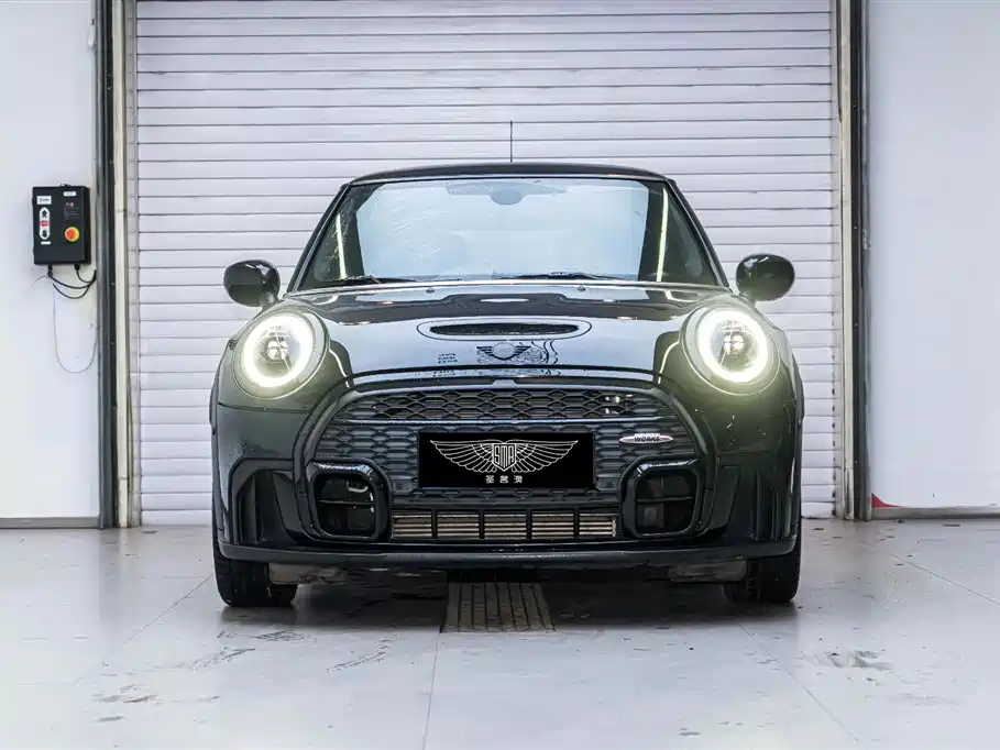 MINI OTHER 2021