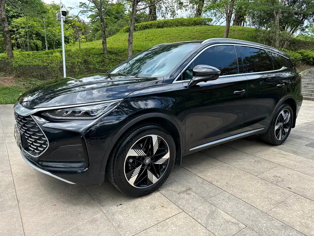 BYD TANG NEW ENERGY 2024