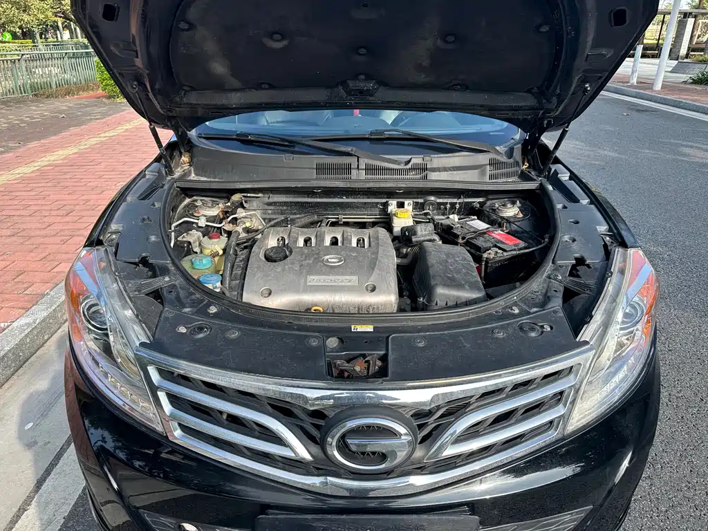 TRUMPCHI GS5 2012