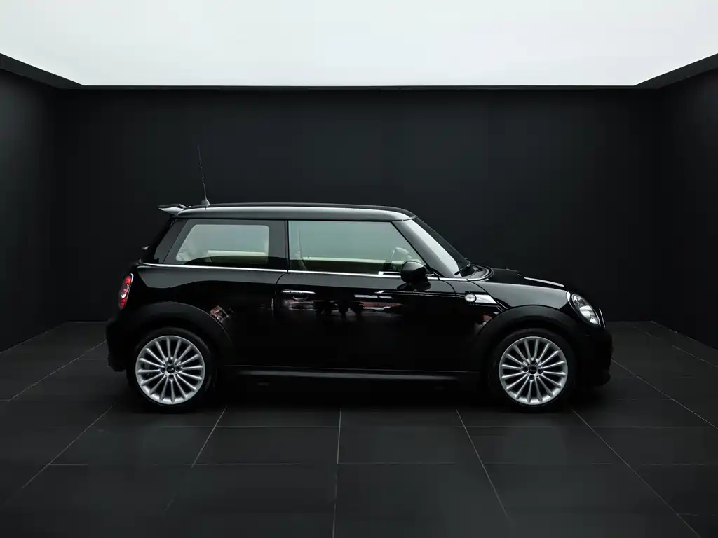 MINI OTHER 2012