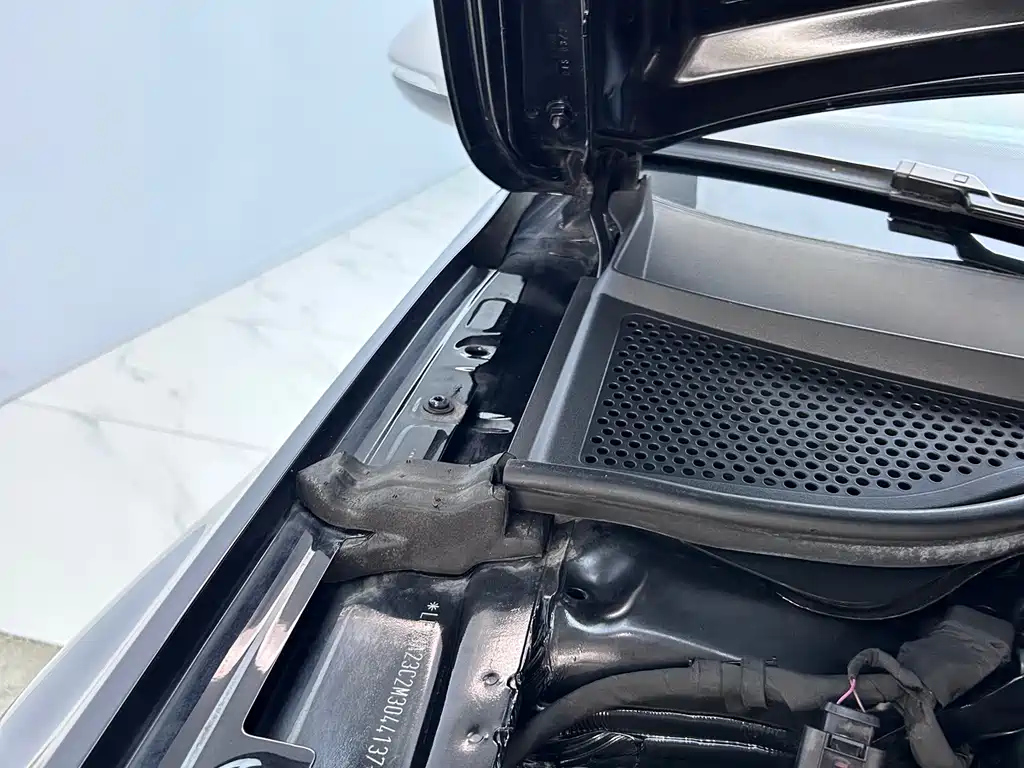 VOLKSWAGEN MAGOTAN 2020