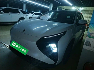 DONGFENG OTHER  2024