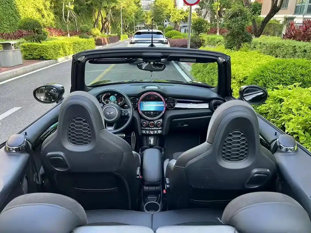 MINI OTHER 2022