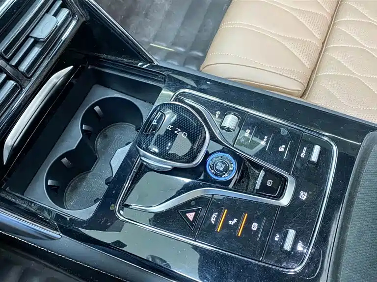 BYD TANG NEW ENERGY 2022