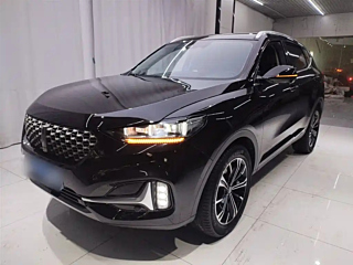 wey vv6