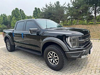 ford other