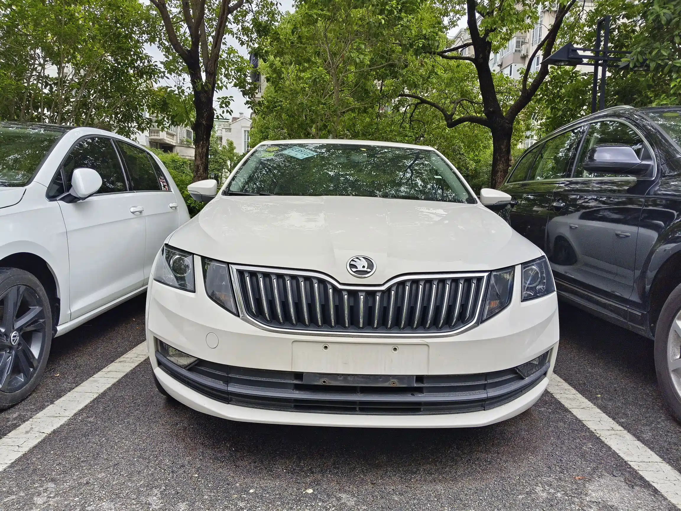 SKODA OCTAVIA