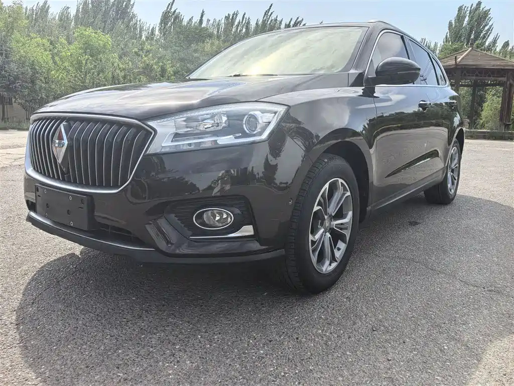 BORGWARD BX7