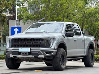 ford other