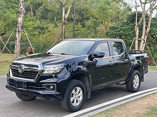 dongfeng other