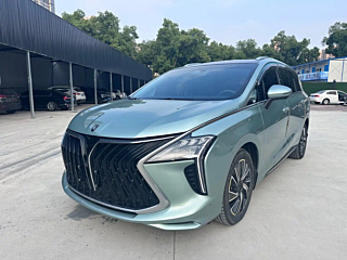dongfeng other