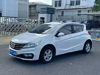 bao-jun 310