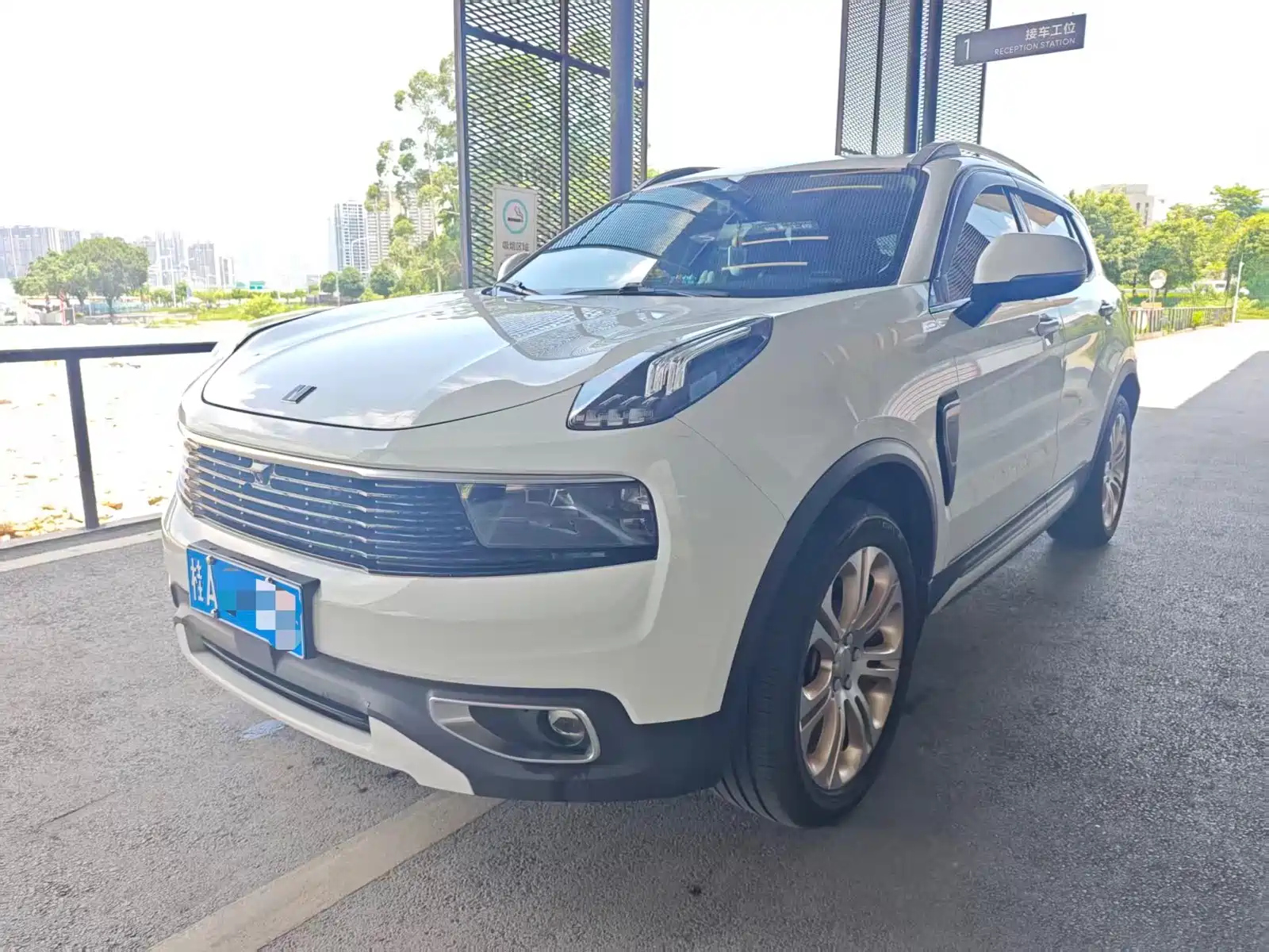 LYNK 01 2019