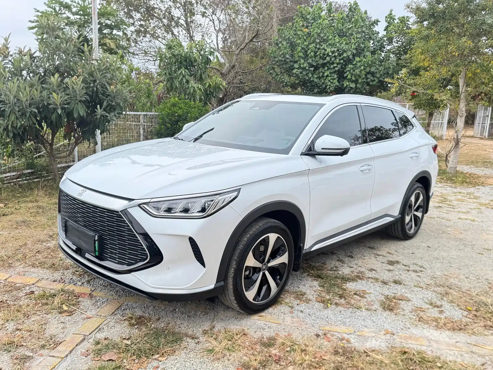 BYD SONG PLUS NEW ENERGY