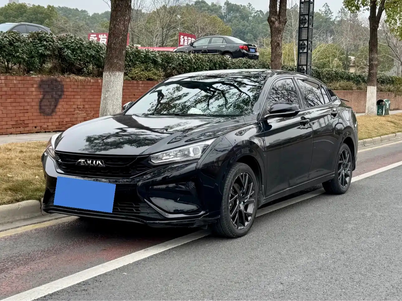 DONGFENG AEOLUS 2020