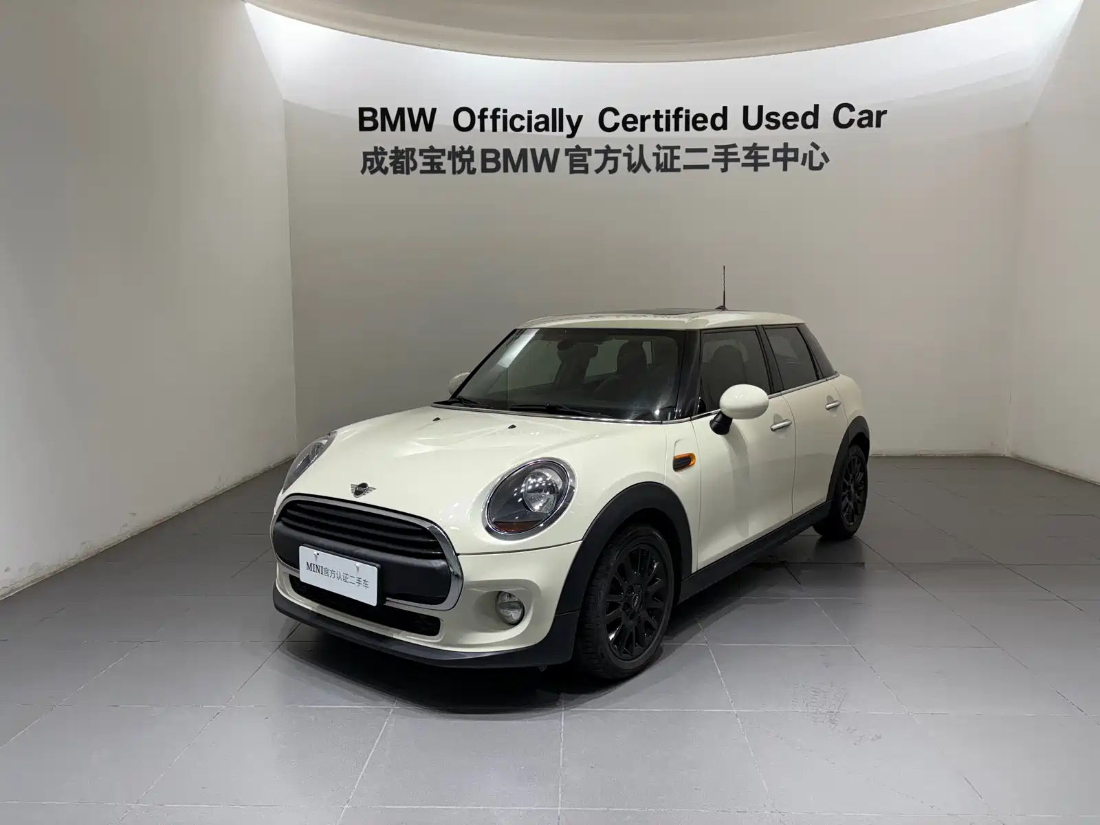 MINI OTHER 2019