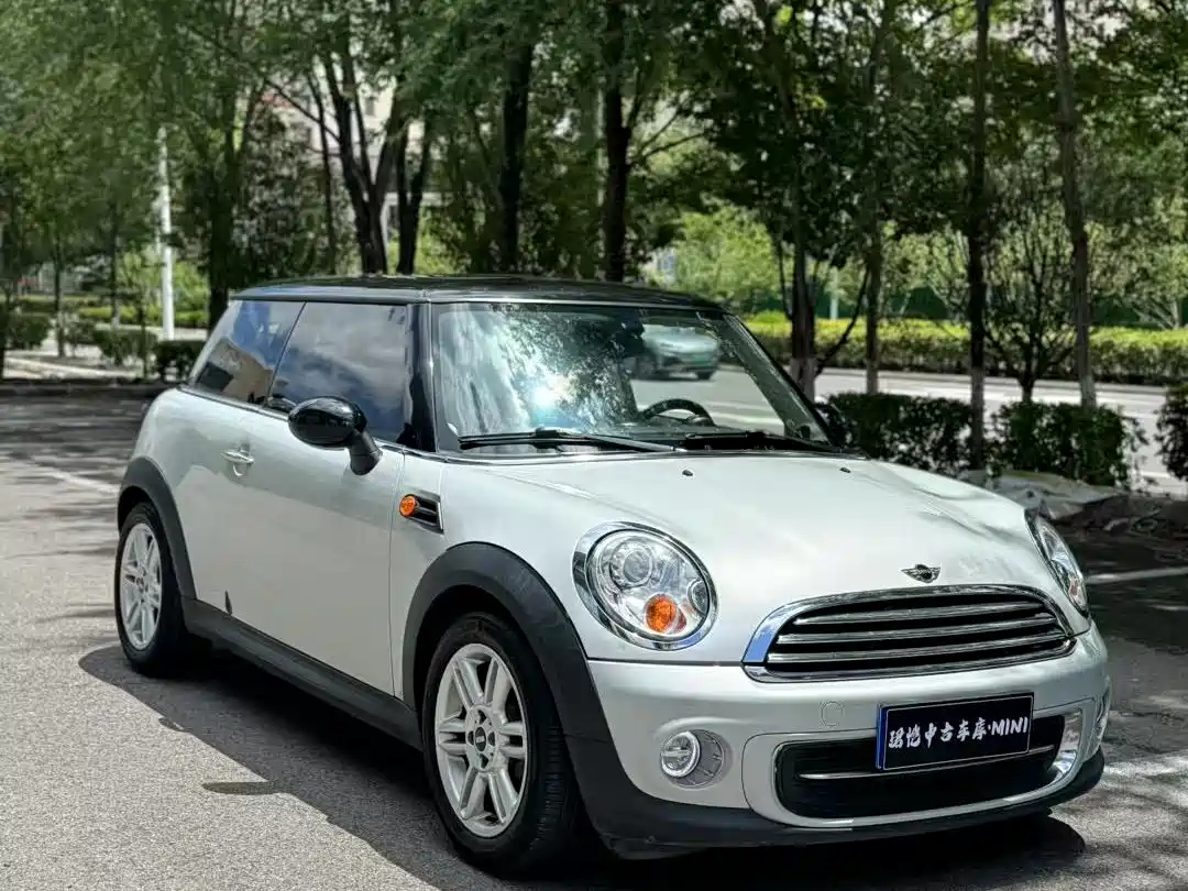 MINI OTHER 2011