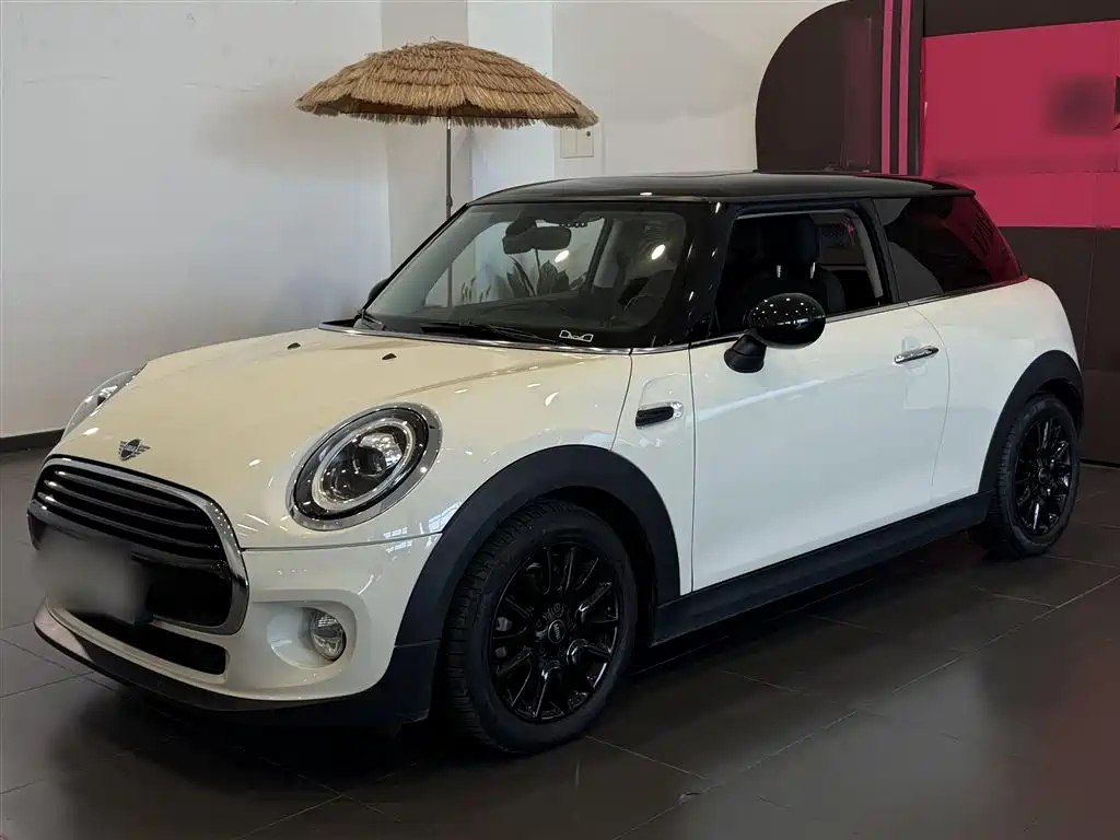 MINI OTHER 2018