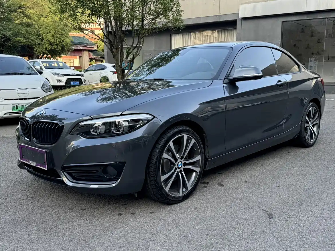 BMW 2-SERIES 2019