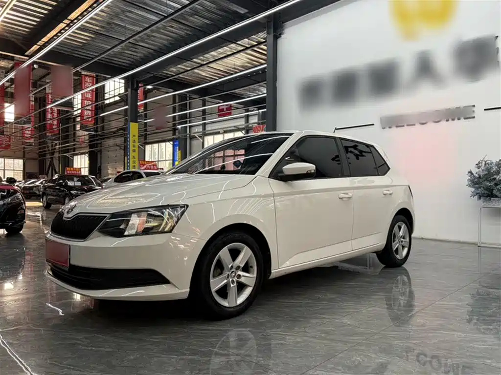 SKODA FASCIA 2017