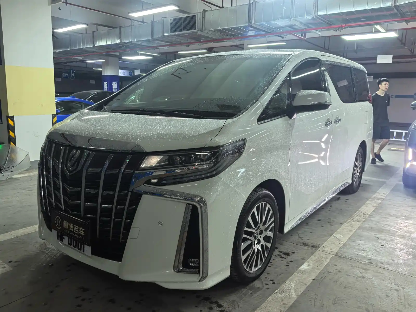 TOYOTA ALPHARD 2015