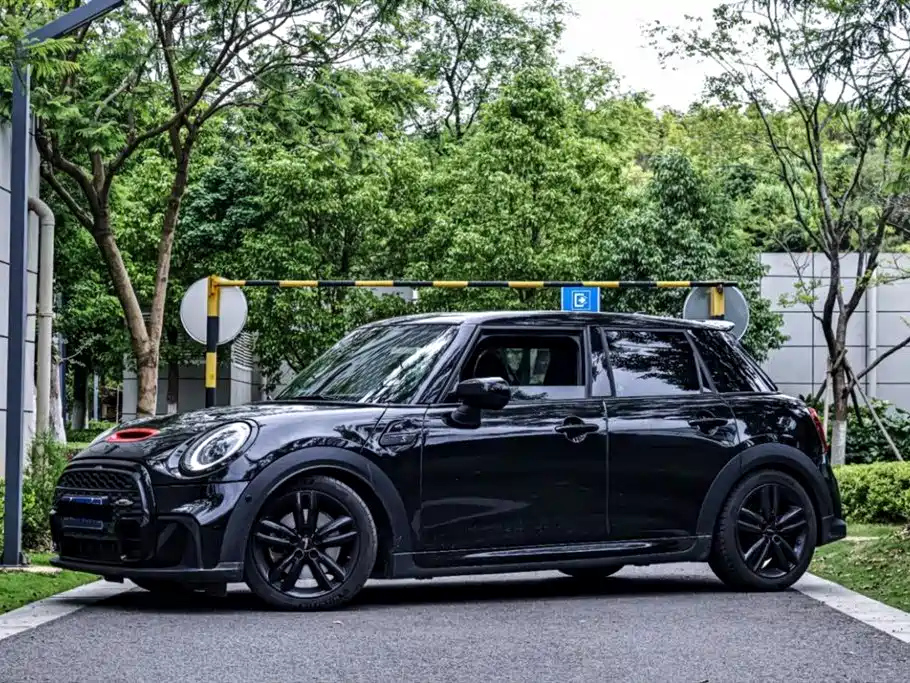 MINI OTHER 2022