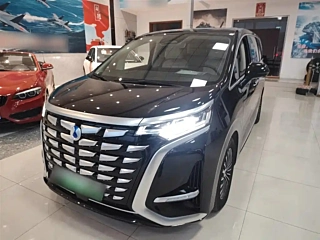 Заказать DENZA D9