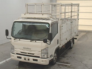 ISUZU ELF 2015
