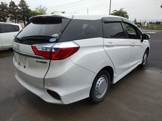 HONDA SHUTTLE 2019