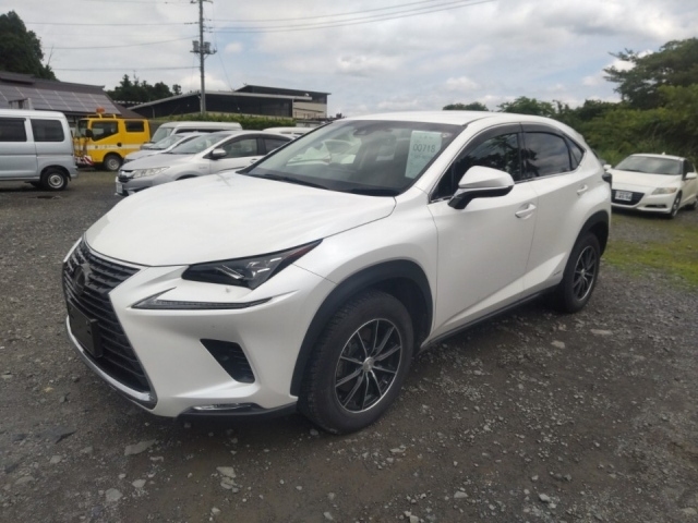 LEXUS NX 2018