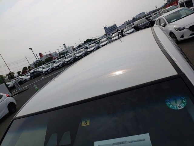 DAIHATSU MOVE 2020