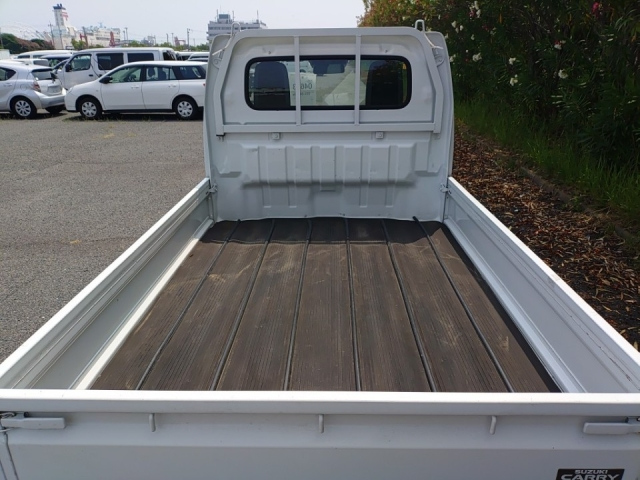 SUZUKI CARRY TRUCK 2019