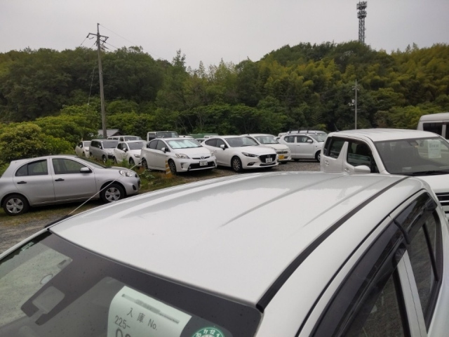 SUZUKI ALTO 2021
