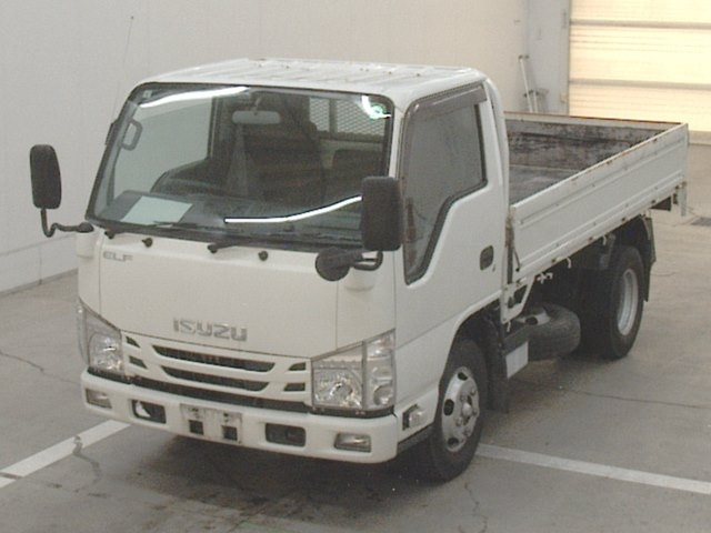 ISUZU ELF 2019