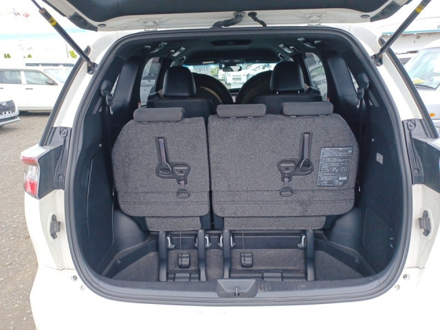 TOYOTA ESTIMA HYBRID 2019
