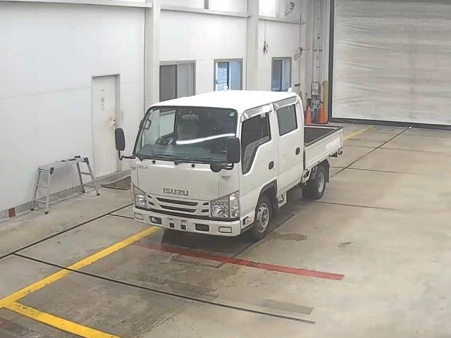 ISUZU ELF 2019