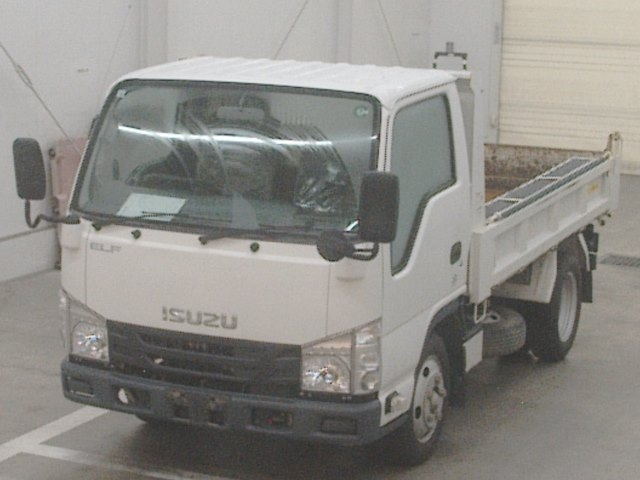 ISUZU ELF 2019