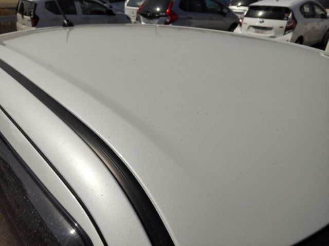 SUZUKI SWIFT 2022