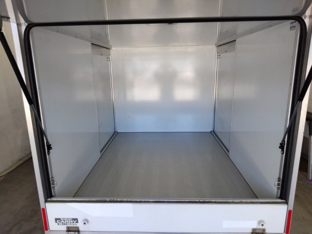 SUZUKI CARRY TRUCK 2019
