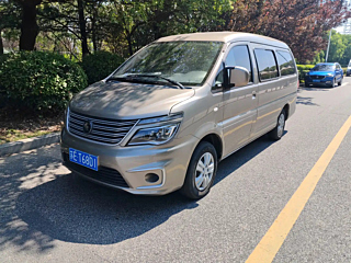 dongfeng lingzhi