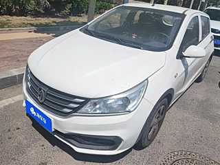 bao-jun 310