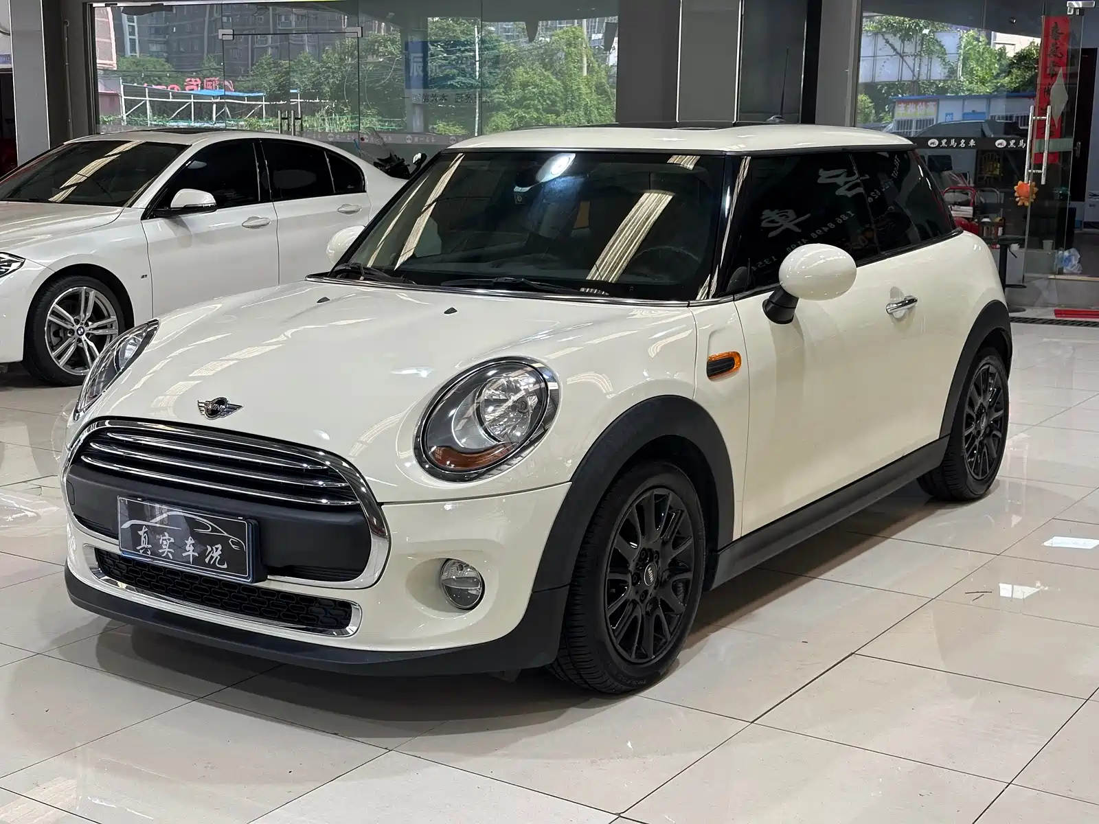 MINI OTHER 2018