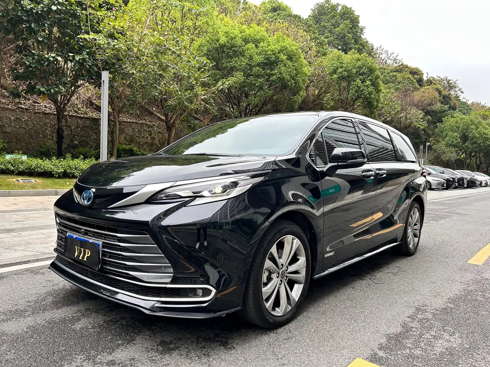 TOYOTA SIENNA SIENNA 2024